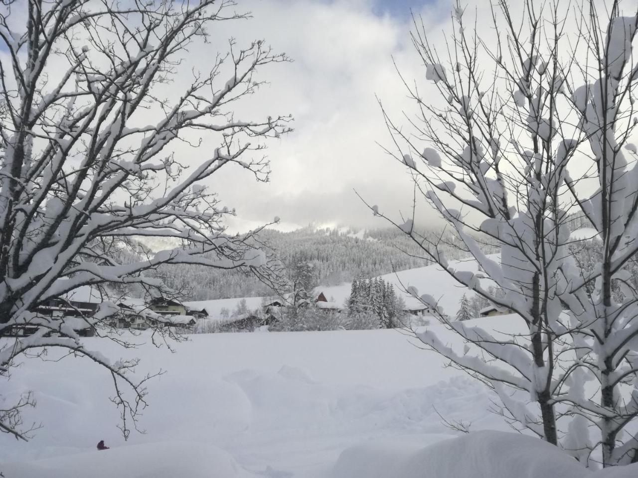 Hoellhof Dachstein West 루스바흐 암 파스 그슈에트 외부 사진